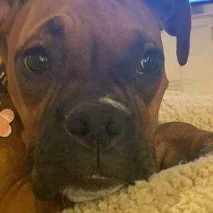 Meet your Posher, Kate